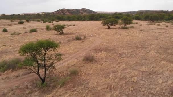 Drone Fly Mountain Biker Cloudy Overcast Day — Wideo stockowe