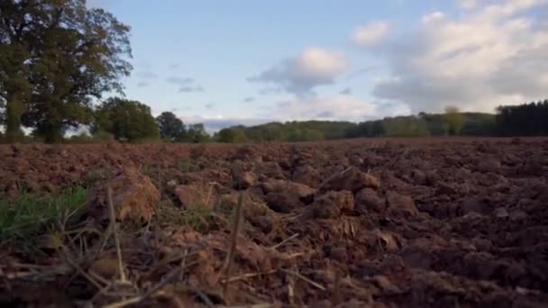 Rising Shot Ploughed Field Ready Crops — Stockvideo