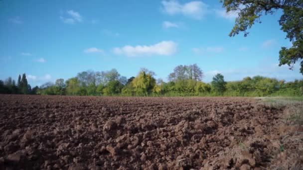 Ploughed Field Green Trees — Stok video