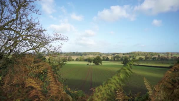 Still Autumnal Rural View Green Land Herefordshire — ストック動画