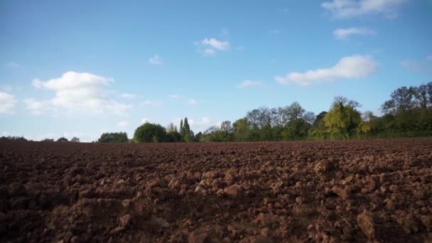 Close Low Ploughed Field Clear Day — Stok video