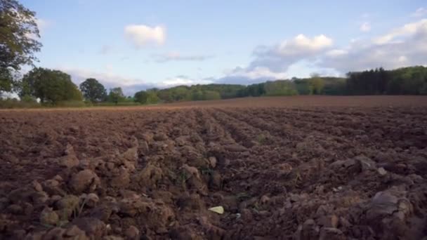 Smooth Descending Shot Ploughed Agricultural Field Slight Wind — Vídeo de stock