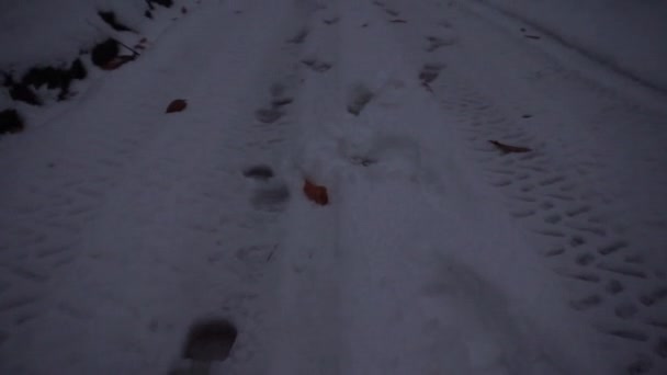 Footsteps Snow Dark Scary Forest — Wideo stockowe