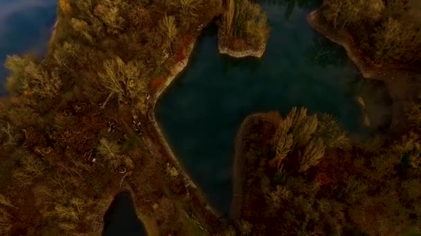 Озера Дерева Пташиного Польоту — стокове відео