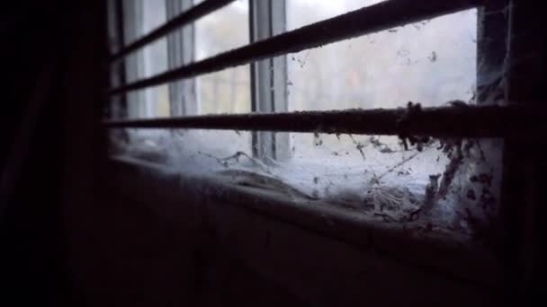 Pan Dark Cobwebbed Barricaded Window — Stockvideo