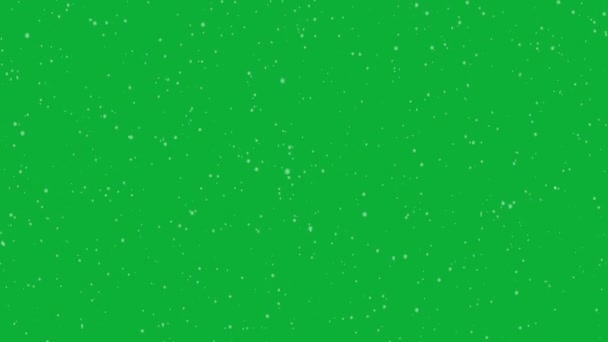 Green Screen Snow Falling — Wideo stockowe