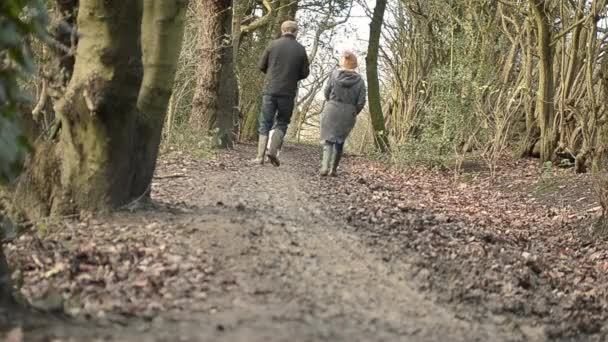 Couple Walking Dog Winter Woods — Vídeos de Stock