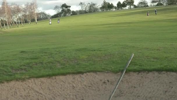 Golf Course Group Golfers — Stockvideo
