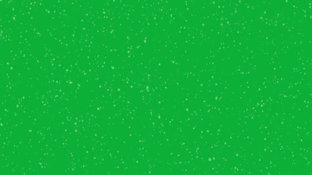 Green Screen Snow Falling Light — ストック動画