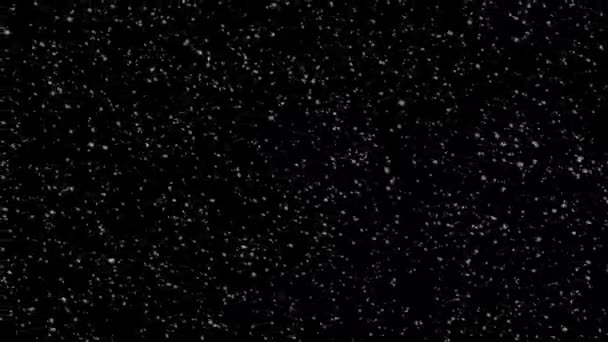 Transparent Snow Falling Black — Video