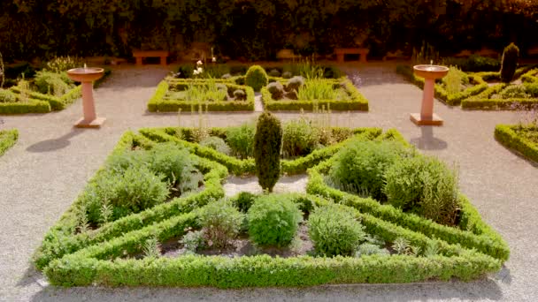 Artful Arranged Garden Green Bushes Two Water Fountains — Stockvideo
