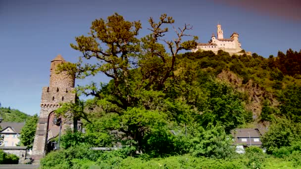 Old City Tower White Castle Hill Visually Separated Big Tree — Vídeo de Stock