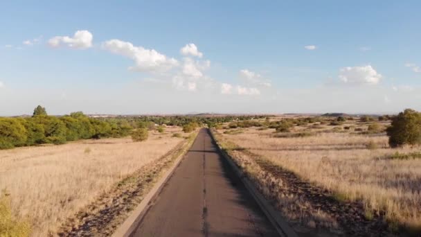 Drone Backing Lonely Tar Road Activity Sunny Day — Stockvideo