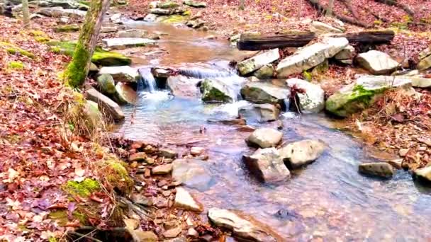 Amazing Waterfall Videos Shawnee National Forest Southern Illinois Jackson Falls — Wideo stockowe