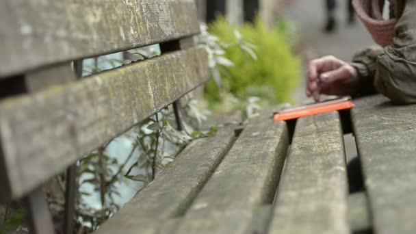 Using Smartphone Rustic Bench — Stockvideo