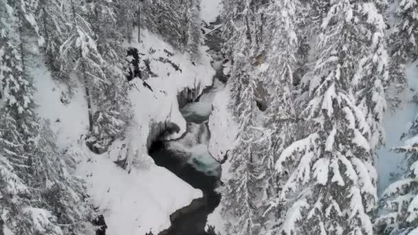 Flying Winter Waterfall — Stok video