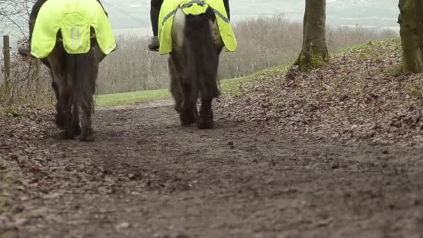 Horses Riders Mud Track — Stock video