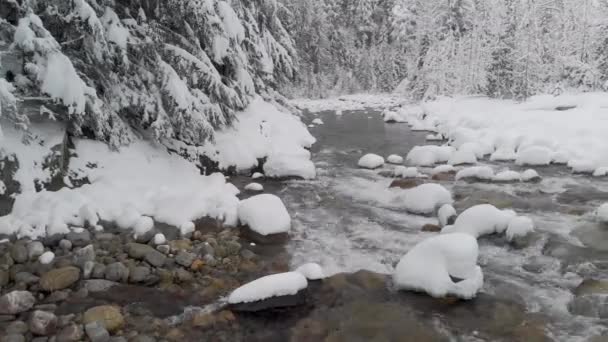 Moving Sideways Winter Creek — Stockvideo