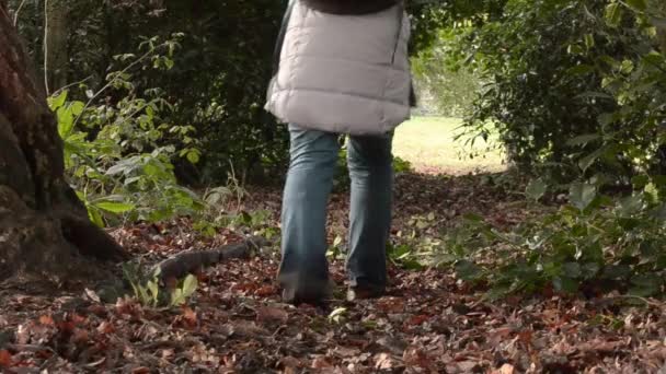 Hiker Leaving Woods — Stockvideo