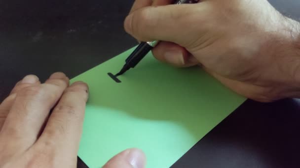 Japanese Chinese Drawing Character Tiger — Stockvideo