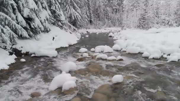 Moving Forward Winter Creek — Video Stock
