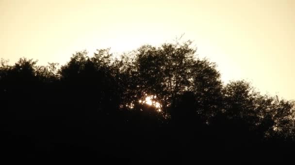 Beautiful Sunset Time Lapse Sun Going Trees — Stock video