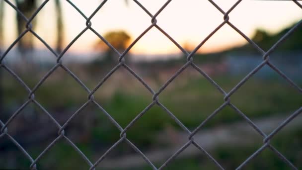 Footage Chainlink Mesh Fence Focus Pull Change Reveal Sunset Background — Stockvideo