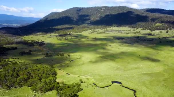 Zdjęcia Dronów Bujnej Zielonej Doliny Krętą Rzeką Poruszającymi Się Chmurami — Wideo stockowe