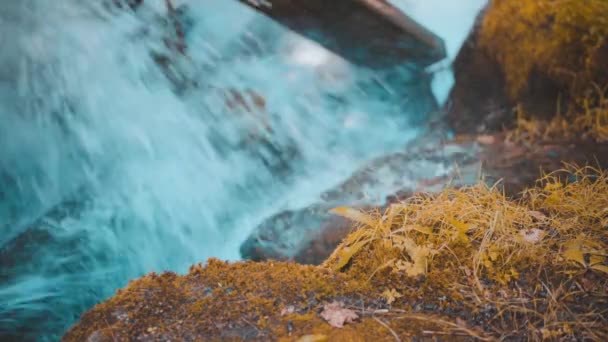 Rushing Water Rapids Crashing Large Rocks Background Moss Covered Rocks — Wideo stockowe