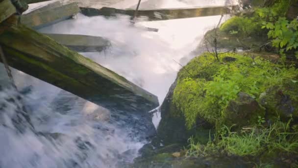 Rushing Water Rapids Crashing Large Damaged Wooden Beams Moss Covered — Stok Video