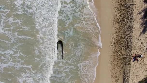 Fotografia Aérea Barco Parcialmente Afundado Bellows Field Beach Park — Vídeo de Stock