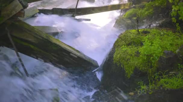 Rushing Water Rapids Running Log Chute Crashing Damaged Moss Covered — Stock videók