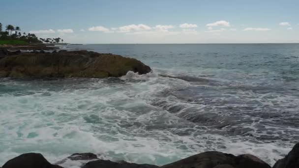 Waves Crashing Oahu Volcaninc Rocks — стоковое видео