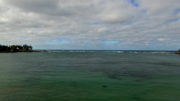 Foto Aérea Aguas Turquesas Hawaianas Kawela Bay Beech Park Cerca — Vídeos de Stock