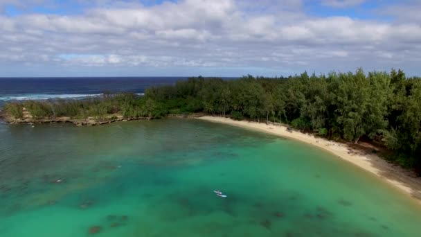 Aerial Shot Turquoise Hawaiian Waters Kawela Bay Beech Park Turtle — Stockvideo