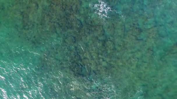 Aerial Shot Turquoise Hawaiian Waters Diamond Head — 비디오