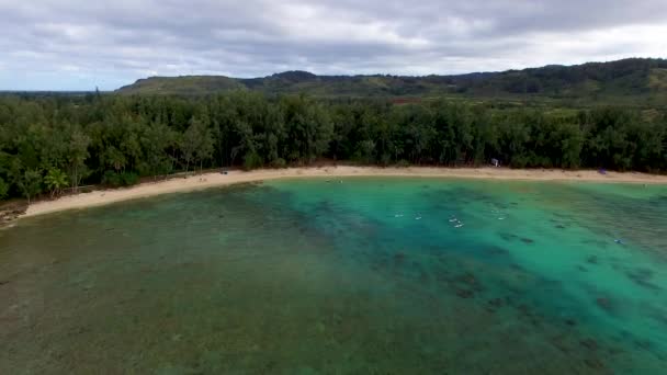 Aerial Shot Kawela Bay Beech Park Turtle Bay Resort Hawaii — Stockvideo