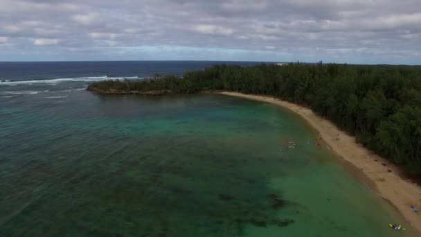 Aerial Shot Kawela Bay Beech Park Turtle Bay Resort Hawaii — Stockvideo