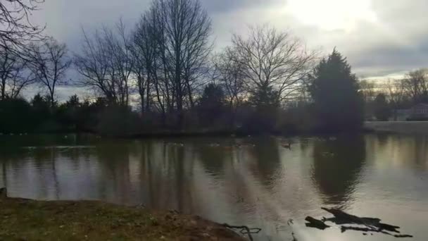 Some Nature Scenes Sun Peaking Clouds Ripples Lake Birds Geese — Stockvideo
