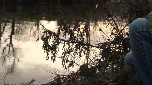 Peacefully Watching Water Lake — стоковое видео
