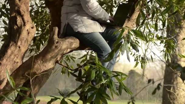 Woman Typing Laptop Forest — Vídeos de Stock