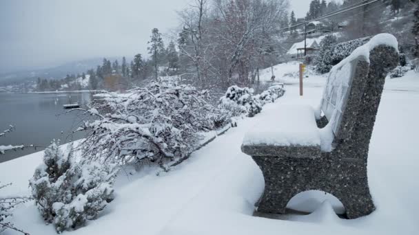 Snow Falling Stone Bench Lake — Wideo stockowe