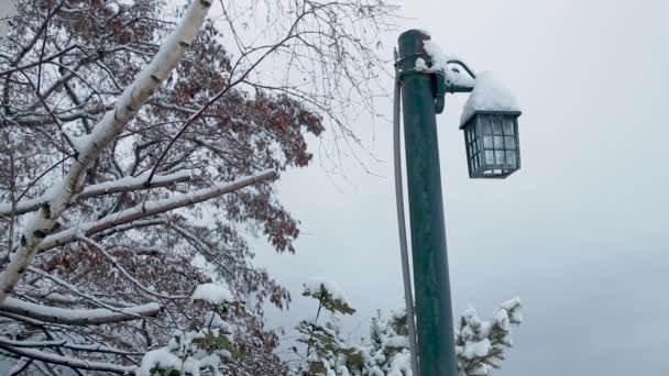 Stationary View Lamp Post Snow — Stockvideo