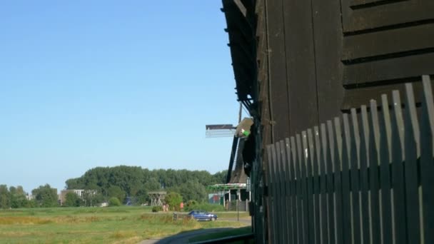 Travelling Side Revealing Windmill Zaanse Schans Netherlands — Vídeos de Stock