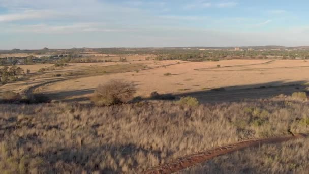 Drone Reveal Shot Old Formula Race Track South Africa Bloemfontein — Vídeo de stock