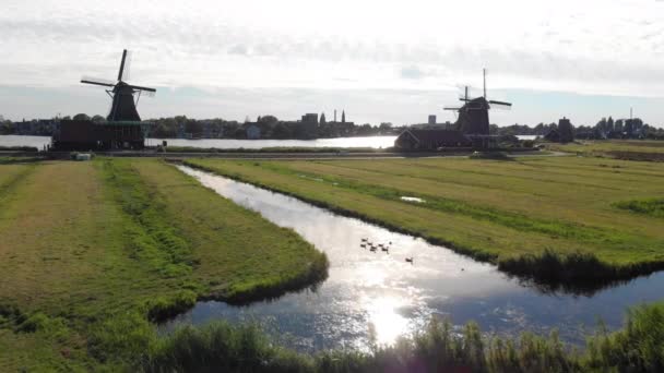 Letecké Větrné Mlýny Zaanse Schans Amsterdam Nizozemsko — Stock video