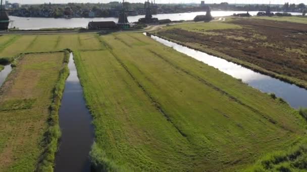 Aerial Windmills Zaanse Schans Amsterdam Netherlands — Stok video