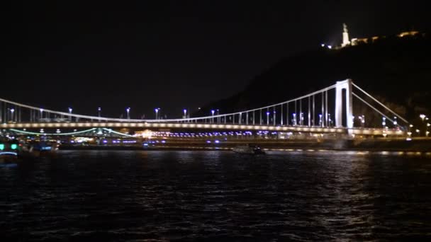 View Liberty Bridge Night Budapest Hungary — 图库视频影像