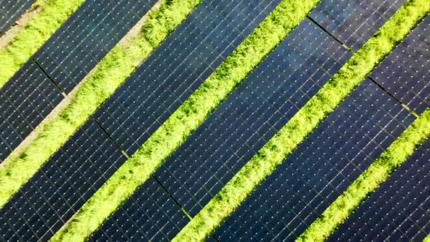 Drone Ascends Straight While Looking Revealing Rows Rows Solar Panels — Stok video