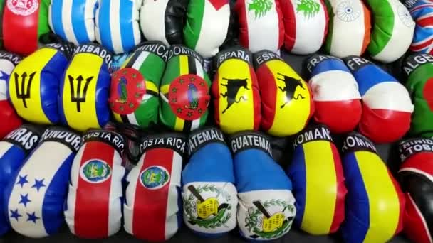 Colorful Shot National Flag Designs Assortment Boxing Gloves — Vídeo de Stock